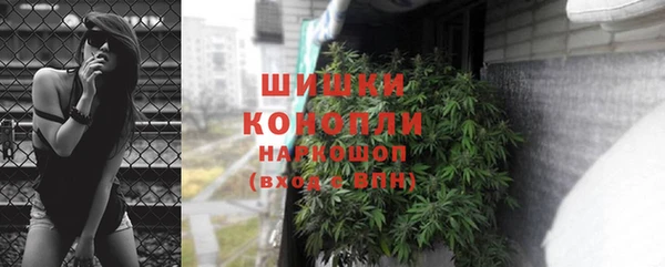 шишки Приозерск