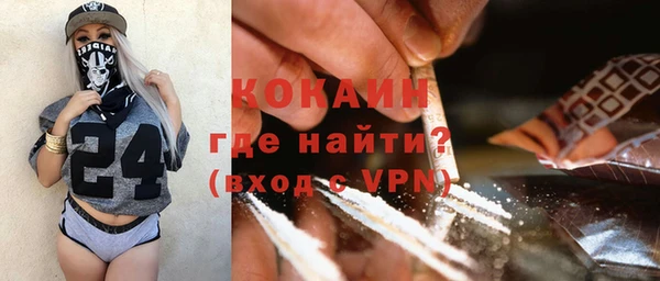 шишки Приозерск