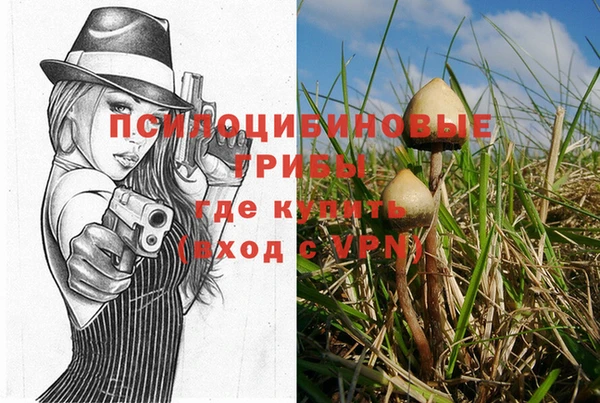 Альфа ПВП Пролетарск