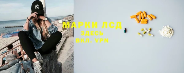 шишки Приозерск