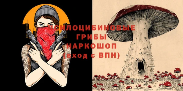 шишки Приозерск