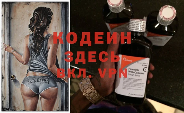 шишки Приозерск