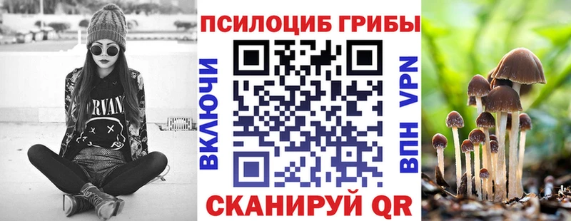 Купить где  Нелидово  Псилоцибиновые грибы прущие грибы 